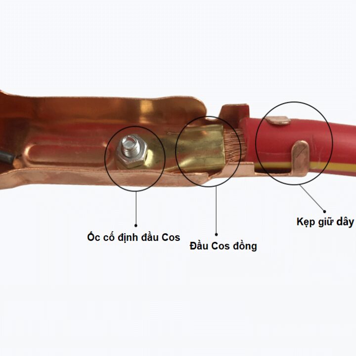 Cấu tạo dây câu bình acquy