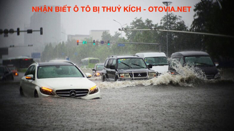 Nhận biết xe ô tô bị thuỷ kích Nhận biết xe ô tô bị thuỷ kích - Otovina sẽ giúp các bạn có thể nhìn bằng mắt thường cũng biết xe đã bị thuỷ kích hay chưa? đảm bảo độ chính xác lê đến 99%.